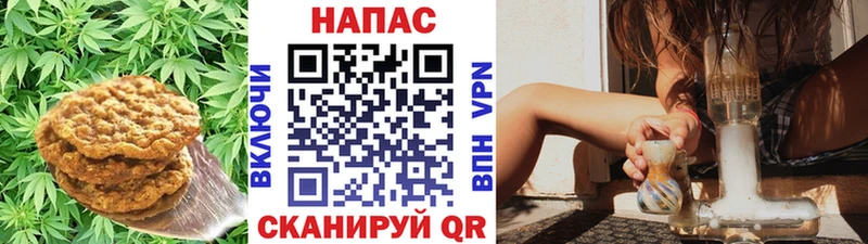 Купить  Гурьевск  Печенье с ТГК марихуана 