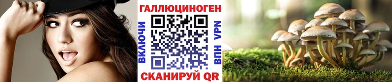 Галлюциногенные грибы Psilocybe Купить где Гурьевск